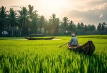 Budaya Canoe Indonesia Melahirkan Aura Farming